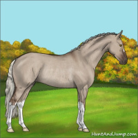 Horse Color:Liver Red Dun Mushroom Rabicano