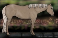 Horse Color:Silver Grullo 