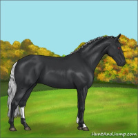 Horse Color:Silver Black Chinchilla 