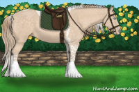 Horse Color:Perlino Tobiano 