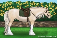 Horse Color:Palomino Pearl Tobiano