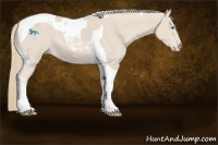 Horse Color:Smoky Creme Tobiano