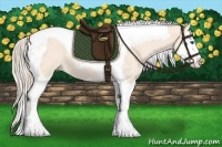 Horse Color:Perlino Splash Tobiano