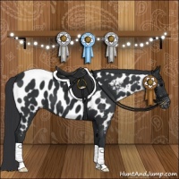 Horse Color:Black Appaloosa