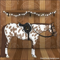Horse Color:Liver Red Dun Appaloosa Brindle 