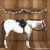 Horse Color:Liver Red Dun Near Fewspot 