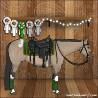 Horse Color:Brown Dun Appaloosa 