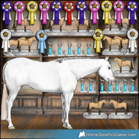 Horse Color:Liver Red Dun Appaloosa Brindle