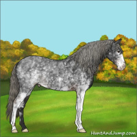 Horse Color:White Spotted Liver Chestnut Mushroom 