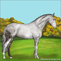 Horse Color:White Spotted Liver Chestnut Mushroom