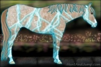 Horse Color:Thunderstruck Red Dun Ice Sabino 