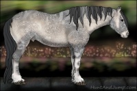Horse Color:Blue Onyx Ice 