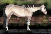 Horse Color:Bay Ice Onyx 