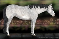 Horse Color:Blue Onyx Ice Frame