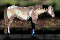 Horse Color:Red Onyx Ice Tobiano 