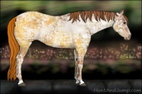 Horse Color:Chestnut Ice 