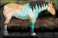 Horse Color:Buckskin Ice 