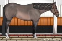 Horse Color:Platinum Bay Roan 