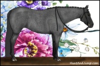 Horse Color:Blue Roan 