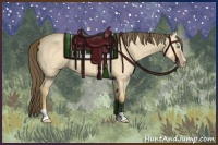 Horse Color:Amber Cream Champagne Dun Sabino 