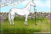 Horse Color:Gray Void White Spotted Brown Dun Rabicano
