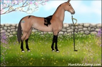 Horse Color:Void Brown Tobiano Rabicano 