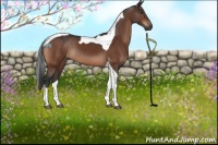 Horse Color:Brown Tobiano