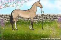 Horse Color:Buckskin Dun Sabino 