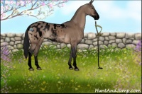 Horse Color:Void Brown Dun Sabino Appaloosa 