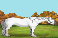 Horse Color:Gray Liver Chestnut 