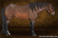 Horse Color:White Spotted Bay Roan 