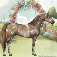 Horse Color:White Spotted Liver Red Dun Rabicano 