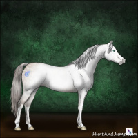 Horse Color:Gray Smoky Black Pearl Tobiano 