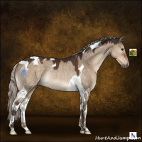 Horse Color:Silver Brown Dun Tobiano Rabicano