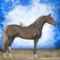 Horse Color:Silver Black 
