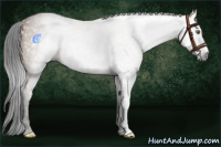 Horse Color:Gray Brown