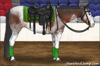 Horse Color:White Spotted Brown Sabino Rabicano