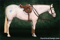 Horse Color:Buckskin Ice Pearl Dun