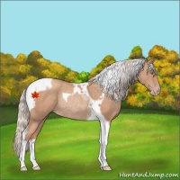 Horse Color:Silver Classic Champagne Tobiano Rabicano 