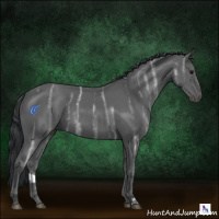 Horse Color:Black Ice 