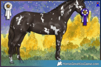 Horse Color:White Spotted Liver Chestnut 