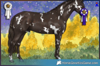 Horse Color:White Spotted Liver Chestnut 