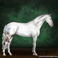 Horse Color:White Spotted Silver Brown Rabicano