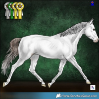 Horse Color:Brown Appaloosa