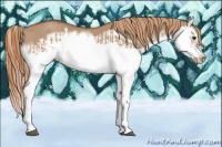 Horse Color:Red Dun Splash  and Red Dun Splash Frame 