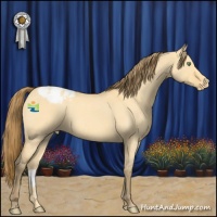 Horse Color:Amber Cream Champagne Roan Dun Appaloosa 
