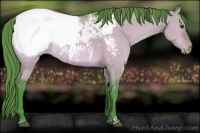 Horse Color:Watercolor Bay Dun Appaloosa Brindle 
