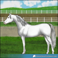 Horse Color:Liver Red Dun Mushroom Snowcap 
