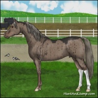 Horse Color:Liver Red Dun Mushroom Brindle 
