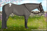 Horse Color:Grullo Varnish Brindle 